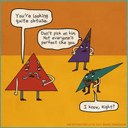Triangle Humor! Oh My